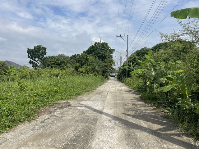 ที่ดินขายราคาถูก สร้างบ้านขายได้ หรืออยู่อาศัย ติดลำเหมือง ติดถนนคอนกรีต