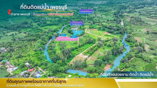 ขายที่ดิน ติดแม่น้ำเพชรบุรี โฉนดนส.4จ ในเขตเทศบาลท่ายาง น้ำไฟพร้อม น้ำไม่ท่วม ฮวงจุ้ยท้องมังกร