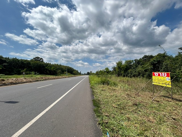 ขายที่ดิน2 ไร่ ติดถนนสุวรรณศรใหม่ ดงขี้เหล็ก  ปราจีนบุรี  ZJ140  