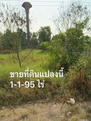 ขายที่ดินแปลงสวย 1 -1-95 ไร่ เชียงรากน้อย บางปะอิน พระนครศรีอยุธยา! เหมาะสร้างบ้านหรือซื้อเก็บ!! ใกล้โลตัส บางปะอิน ! ด่วนมาก