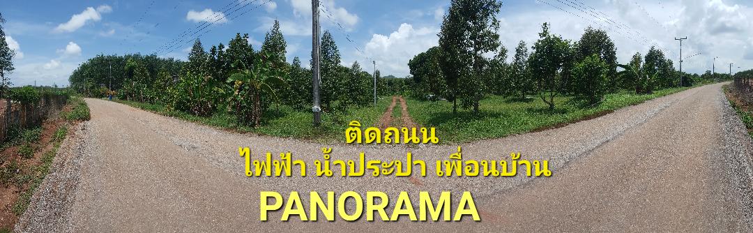 ด่วนขายถูก สวนผสมทุเรียน 8 ไร่ 54 ตร วา @ 790,000 บาท ติดถนนลาดยาง ไฟฟ้า ประปา ระบบน้ำพร้อม  ตอบโจทย์ทุกความต้องการ