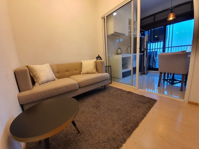 คอนโด The Tree Sukhumvit71-Ekkamai   1 bedroom เครื่องใช้ไฟฟ้าครบห้องพร้อมเข้าอยู่ให้เช่า