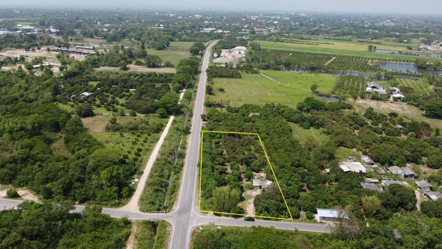 ขายที่ดินสวนลำไยติดถนนสาธารณะลาดยาง ไฟฟ้าพร้อมน้ำพร้อม แบ่งแปลงขายได้หน้ากว้าง