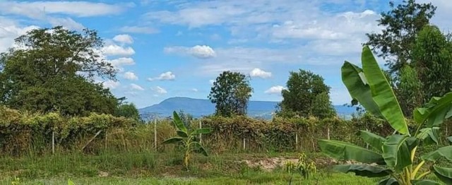 ขายที่สวนเหมาะทำบ้านสวนวัยเกษียน สำหรับสายบุฐสายธรรมห่างวัด 500 เมตร ต.เกาะโพธิ์ อ.ปากพลี จ.นครนายก