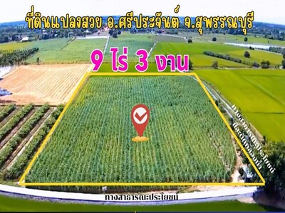 ที่ดิน ต.ดอนปรู อ.ศรีประจันต์ จ.สุพรรณบุรี