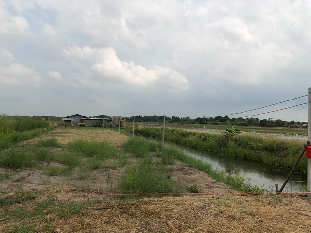 ขายอสังหาริมทรัพย์บ้านที่ดิน ที่ดิน ลาดหลุมแก้ว   บ่อเงินปุทม ใ5ไร่  อำเภอลาดหลุมแก้ว ปทุมธานี ลาดหลุมแก้วไร่ละ 1ลบ. โทร 083-7124115