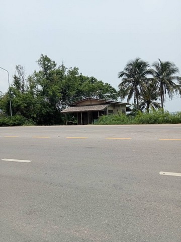 ขายอสังหาริมทรัพย์บ้านที่ดิน ขายที่ดินริมหาดสะพลีทรายขาวน้ำใสคราม สวยงามวิวทะเลธรรมชาติสุดสุด ปะทิวใกล้หาดสวยทุ่งวัวแล่น  