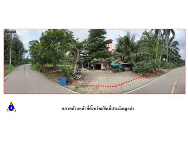 ขายที่ดินพร้อมสิ่งปลูกสร้างจังหวัดชุมพร ( บ้านเดี่ยว 2 หลัง )