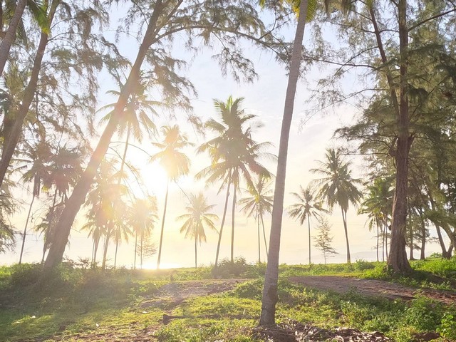 เพิ่มความมั่นคงทรัพย์สินเสนอ  ที่ดิน อ.บางสะพานน้อย จ.ประจวบ  แปลงเล็ก 100วา 1.1ลบ.โทร 083-712-4115