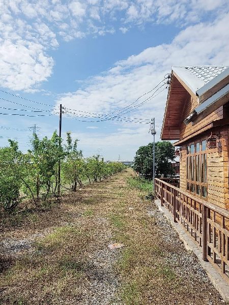 ขายที่ดิน เปล่า ตำบล ระแหง อำเภอ ลาดหลุมแก้ว จังหวัด ปทุมธานี ขนาดเนื้อที่ 30 ไร่