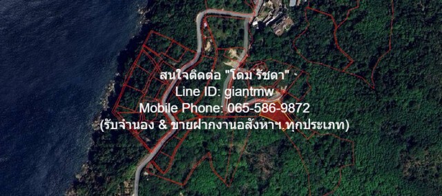 ขายที่ดินเปล่าบนภูเขา, วิวทะเล และมีถนนคอนกรีตหน้าที่ดิน ต.กมลา อ.กะทู้ จ.ภูเก็ต (2 ไร่), ราคา 34 ล้านบาท