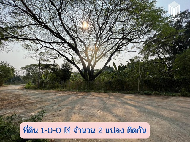 MORE-123LS ขายที่ดินซอยวัดดอนแก้ว 1 ไร่ (400 ตร.ว.)  ต.ดอนแก้ว อ.แม่ริม จ.เชียงใหม่