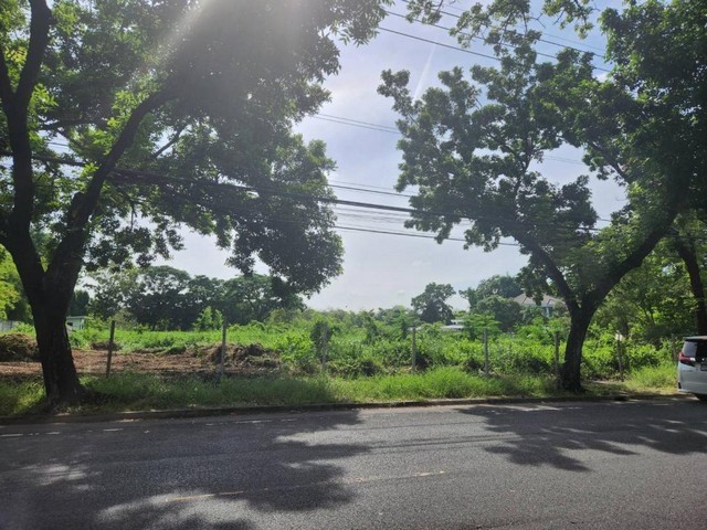 KM203 Land For Sale ขาย ที่ดิน 2 ไร่กว่า หมู่บ้านนวธานี ทำเลดีติดถนนเมนหมู่บ้าน ด้านหลังติดสนามกอล์ฟ ใกล้ทางขึ้น-ลงมอเตอร์เวย์