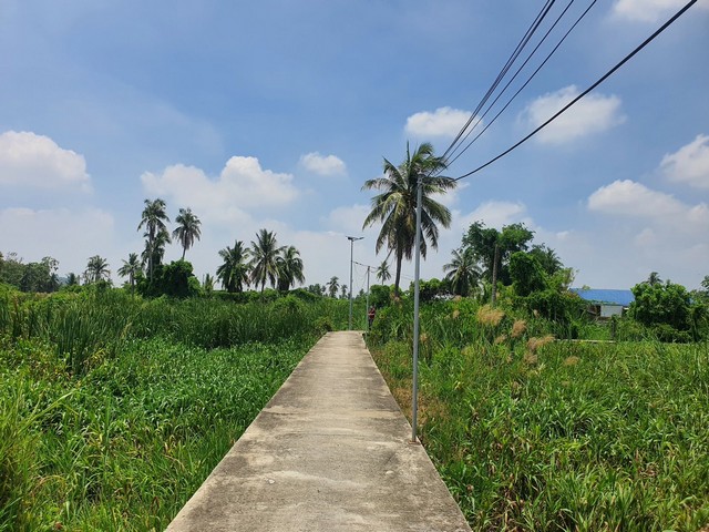 ขายที่ดินเกาะเกร็ด จังหวัดนนทบุรี ที่แปลงสวย เนื้อที่ 2-1-27 ไร่ 