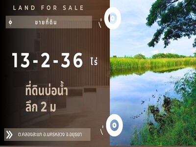 ขายด่วน ที่ดินคลองสะแก อ.นครหลวง อยุธยา เนื้อที่ 13-2-36 ไร่ 