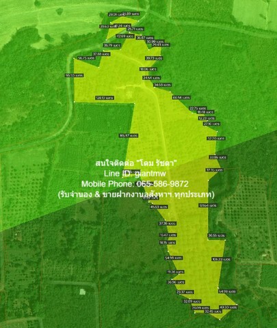 พื้นที่ดิน ขายที่ดินสวนผลไม้ปลอดสารพิษ (Organic) อ.ประจันตคาม จ.ปราจีนบุรี 57-0-90.4 ไร่, ราคา 57 ล้านบาท 57000000 BAHT.  พ.ท. 57 Rai 0 Ngan 90 ตรว. ใกล้ ห่างทางหลวงหมายเลข 3649 (ถนนสุวรรณศร) ประมาณ 5 กม. สะดวกสบาย