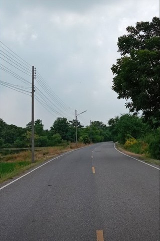  ขายที่ดิน 10 ไร่ ใกล้ถนนสิริโสธร ( 314 ) บางปะกง-ฉะเชิงเทรา  ต.แสนภูดาษ อ.บ้านโพธิ์ จ.ฉะเชิงเทรา