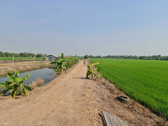 ทรัพย์คุ้มค่าราคาดีจับต้องได้  ที่ดิน ลาดหลุมแก้ว  บ่อเงินปุทม ใ5ไร่  อำเภอลาดหลุมแก้ว ปทุมธานี ลาดหลุมแก้วไร่ละ 1ลบ. โทร 083-7124115