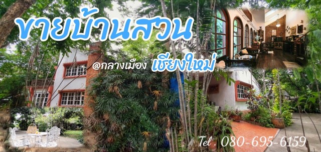 ขายบ้านสวน กลางเมืองเชียงใหม่ 593 ตรว ใกล้ห้างเมย่า โซนเจ็ดยอด สามารถขึ้นตึกสูงได้ 8 ชั้น