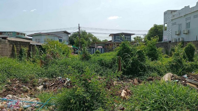 ที่ดินถมแล้ว ซอย ประชาอุทิศ 61 แยก 2 หลังตลาดสด 61 ห่าง 100 เมตร ถูกที่สุดในย่านนี้ ติดต่อ 080-771-5551