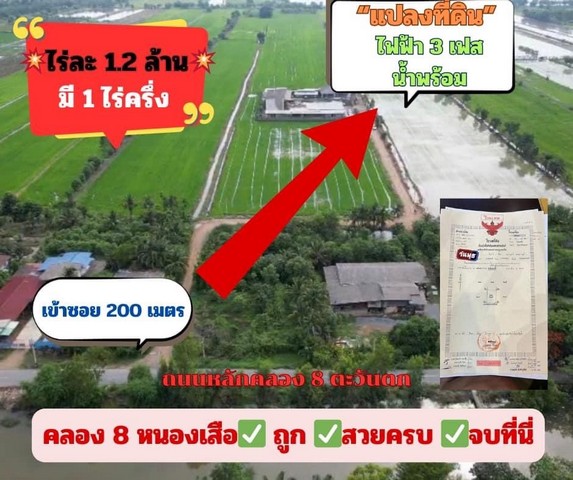 ขายที่ดินเปล่า คลอง8  ต.บึงชำอ้อ อ.คลองหลวง จ.ปทุมธานี เนื้อที่  1 ไร่ 1 งาน 90 ตารางวา ตรว. วิวรีสอร์ท