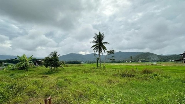 ที่ดินแปลงสวย  วิวเขา แหล่งชุมชน แม่ออน เชียงใหม่  