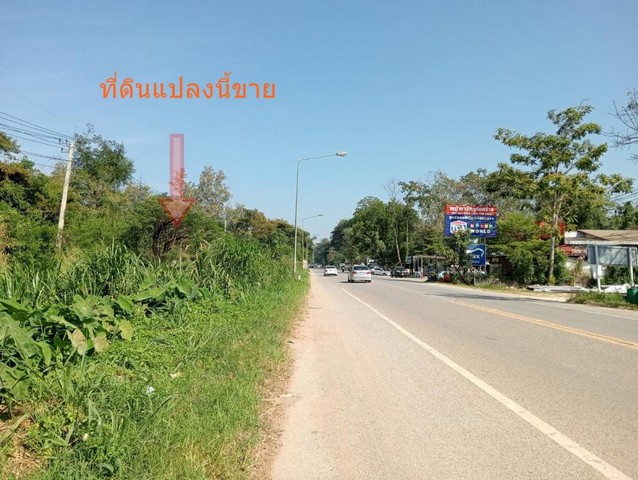 ขายที่ดิน ปากช่อง แปลงใหญ่ 95 ไร่ ติดถนนธนะรัตน์ วิวภูเขา เหมาะสำหรับทำโรงแรม รีสอร์ท หรือ โครงการหมู่บ้าน นครราชสีมา