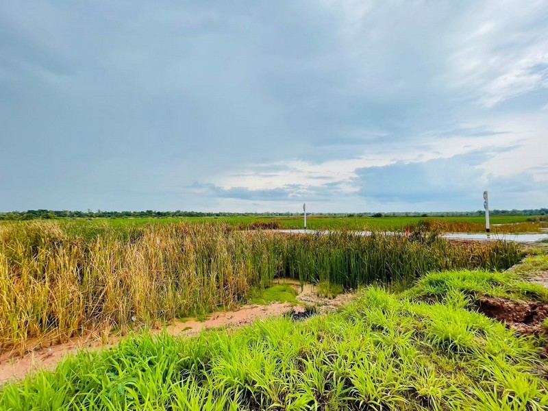 ขายที่ดิน 9-2-67.7 ไร่ ถนนวงแหวนรอบเมือง 290 เหนือตอน 2 ต.กำปัง อ.โนนไทย นครราชสีมา รูปแปลงที่ดินถุงเงินถุงทอง 