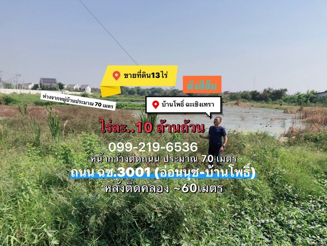 ที่ดินบ้านโพธิ์ฉะเชิงเทรา 13-2-99 ไร่ ผังสีส้ม หน้ากว้างติดถนน